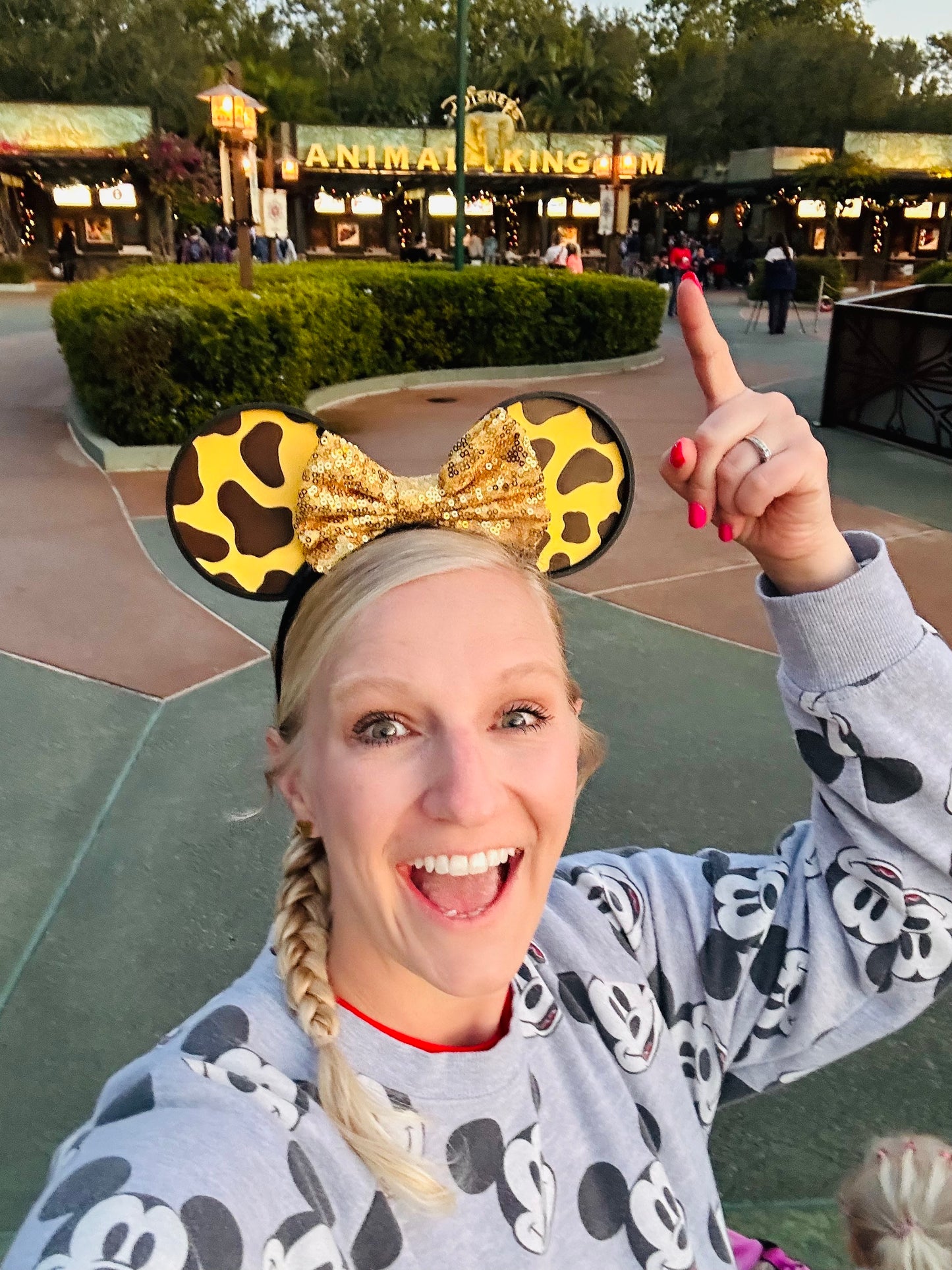 Animal Safari Mouse Ears Headband - 3D printed